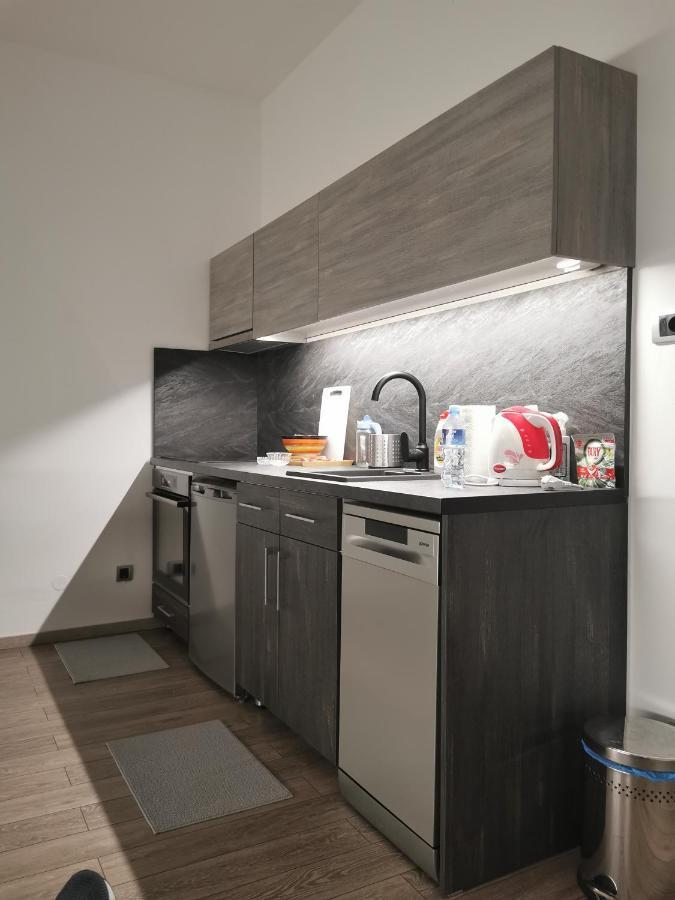 Apartman Pavlovic 1 Dedinje Exterior foto